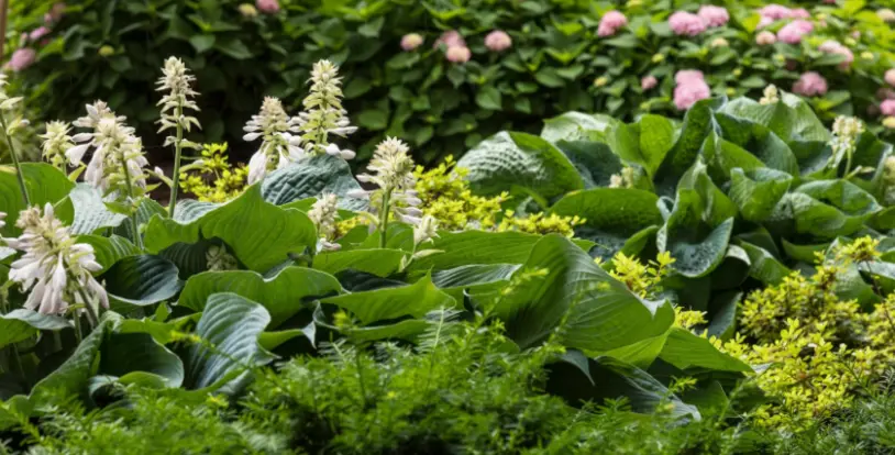 Holy Cross Germantown Hospital Praises Healthcare Staff